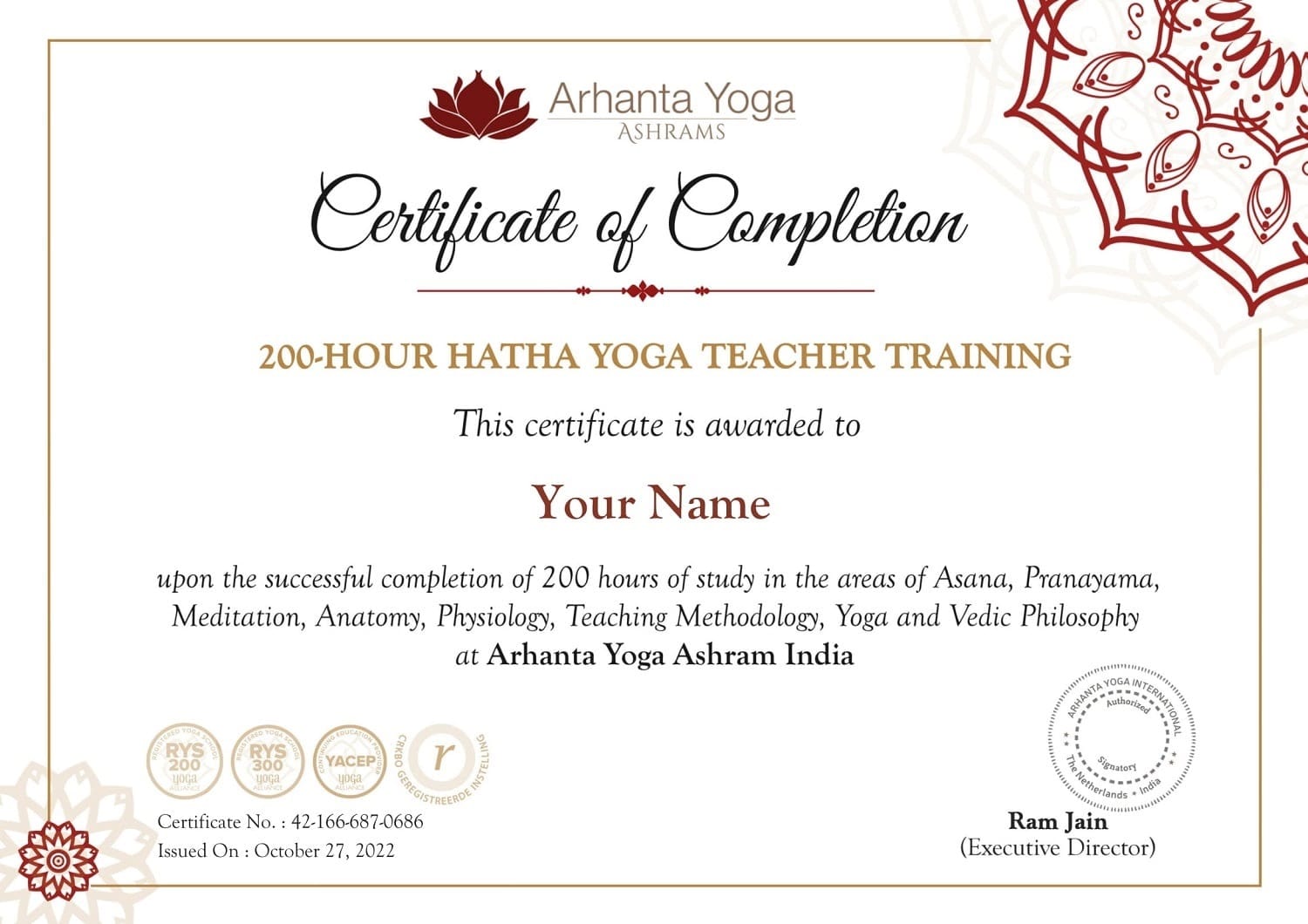 Hatha Yoga, Um Todo - Caminho da Consciência, Espaço Terapêutico