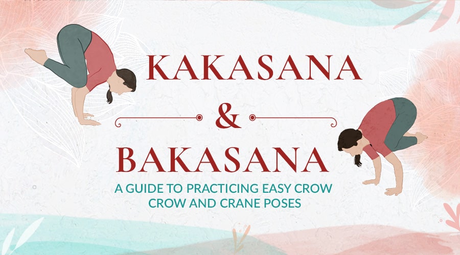 Parsva Bakasana - Side Crow Pose or Crane - YOGATEKET