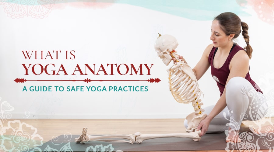 Yoga Anatomy: The Art and Science of a Human, Being - CF Yogi