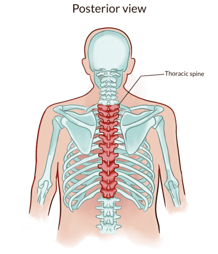 Why Is Breathing In Twists So Hard? - Yoganatomy