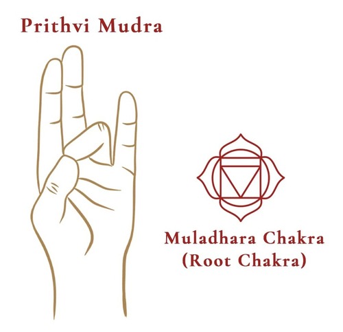 Best Root Chakra Mudras - Chakra Practice