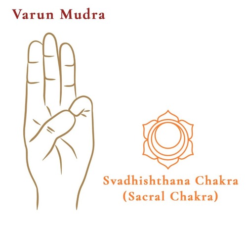 Yoga Mudras Energy Flow Hand Gestures